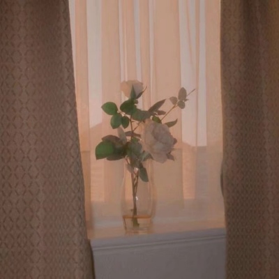 W是狮子还是大猫咪